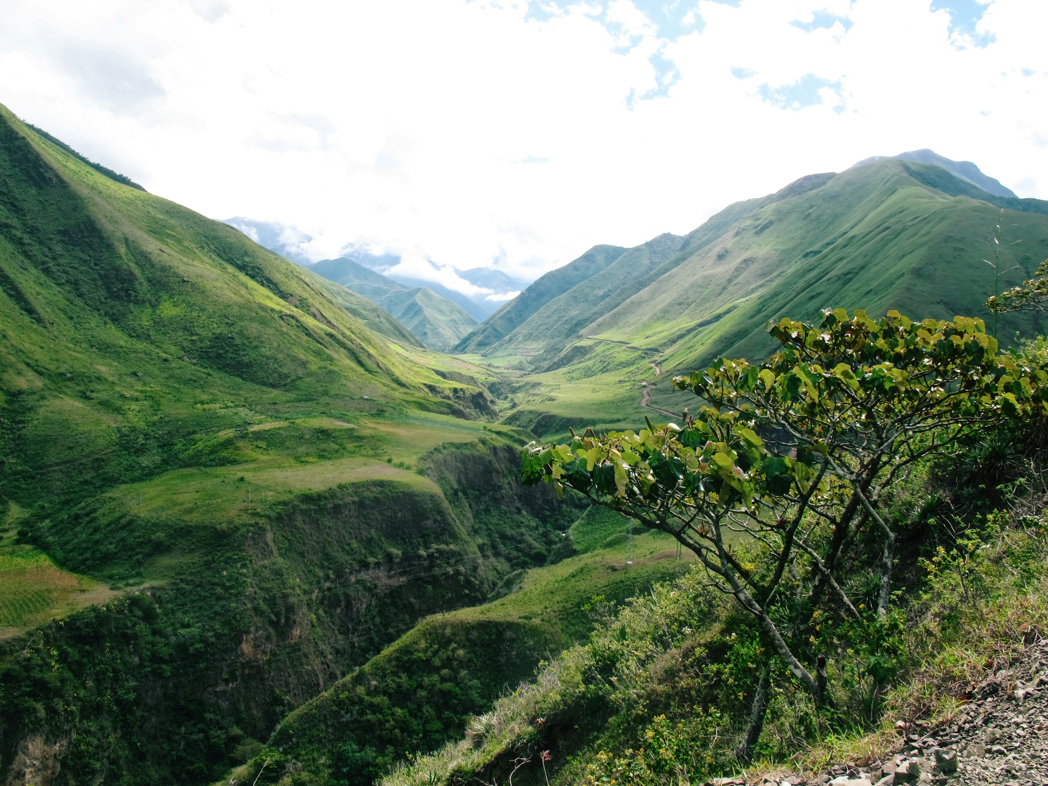 Ecuador & Galapagos – 14 Days of Adventure