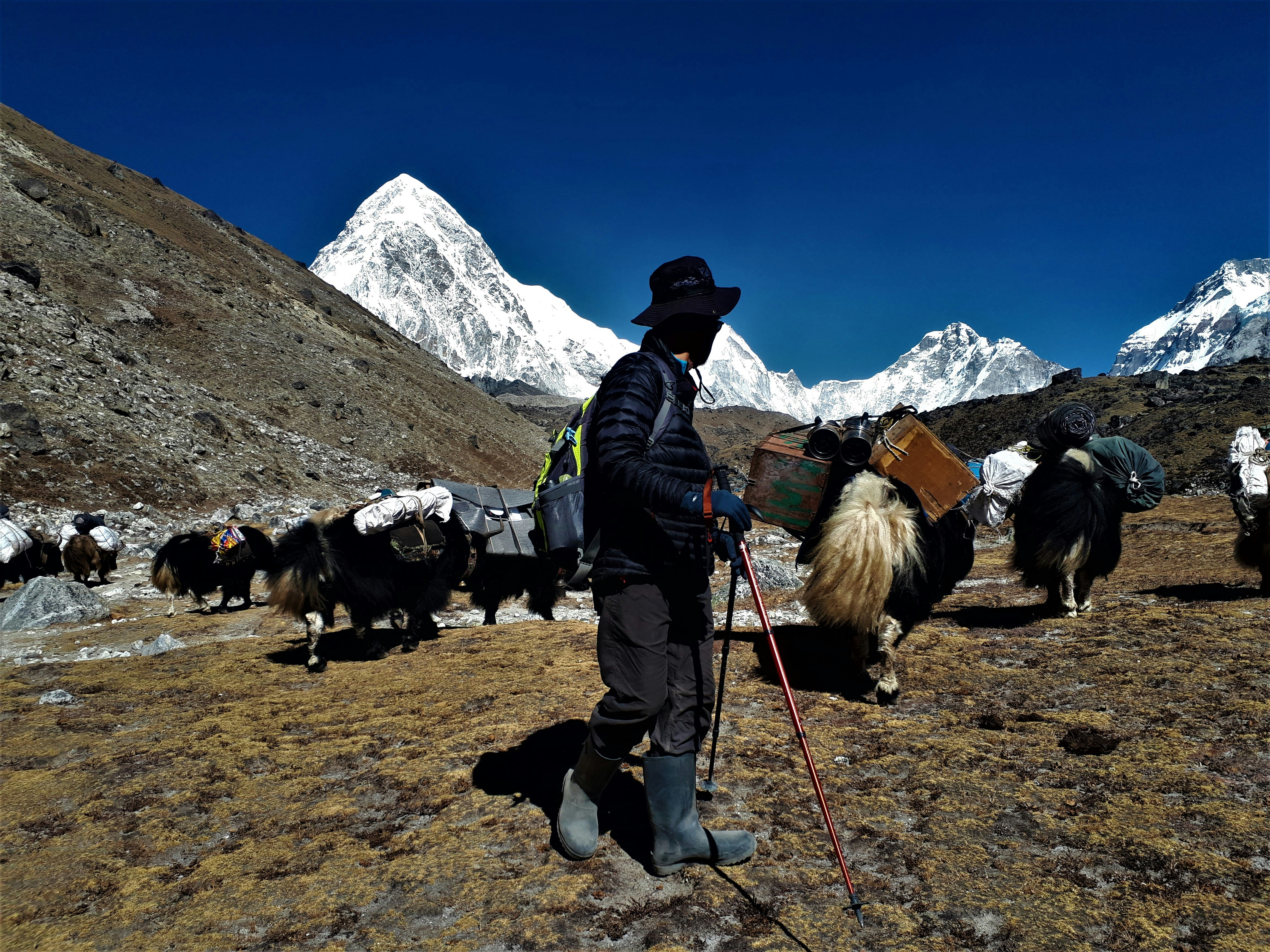 Flight to Lukla, then Trek to Phakding