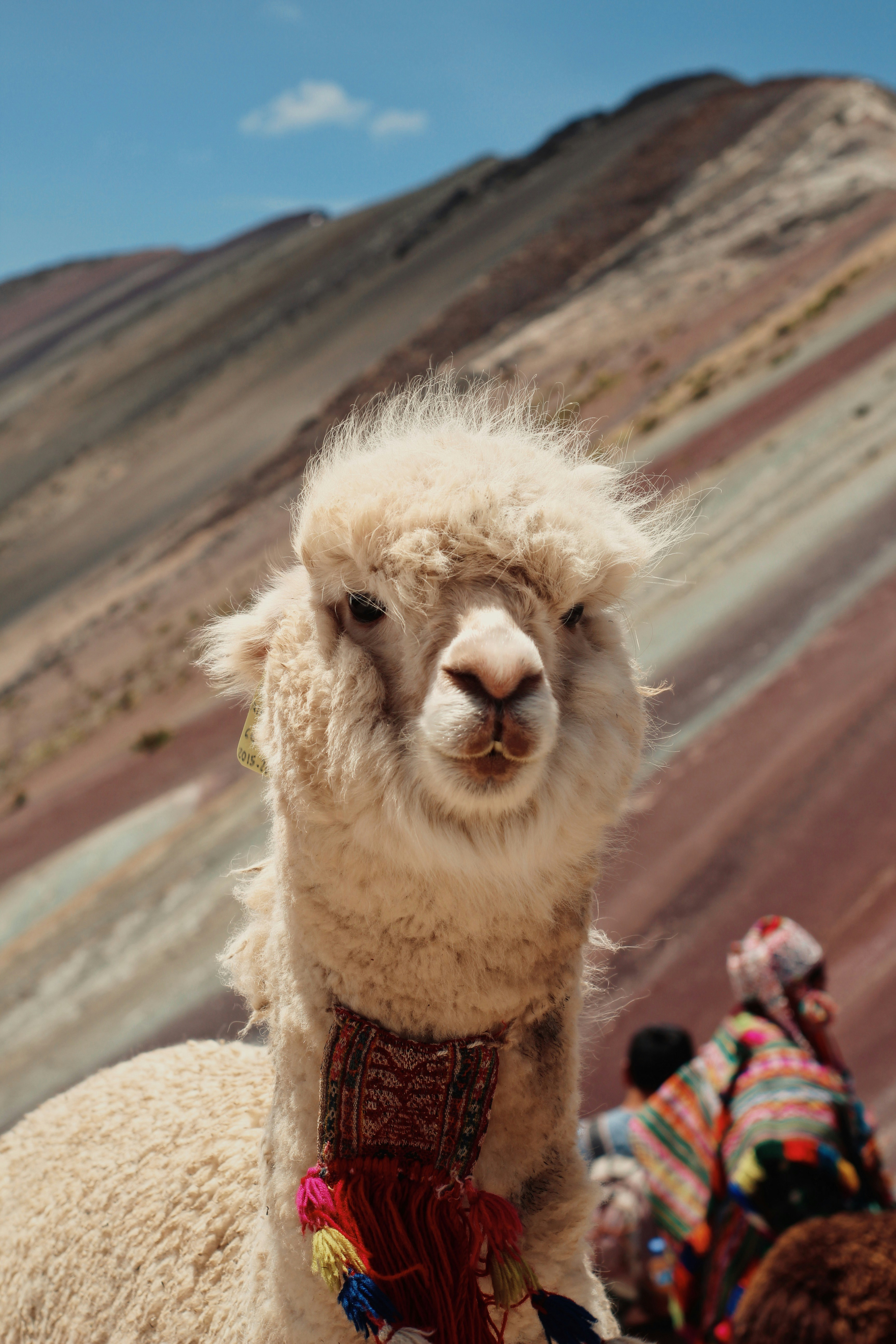 Uros and Taquile islands