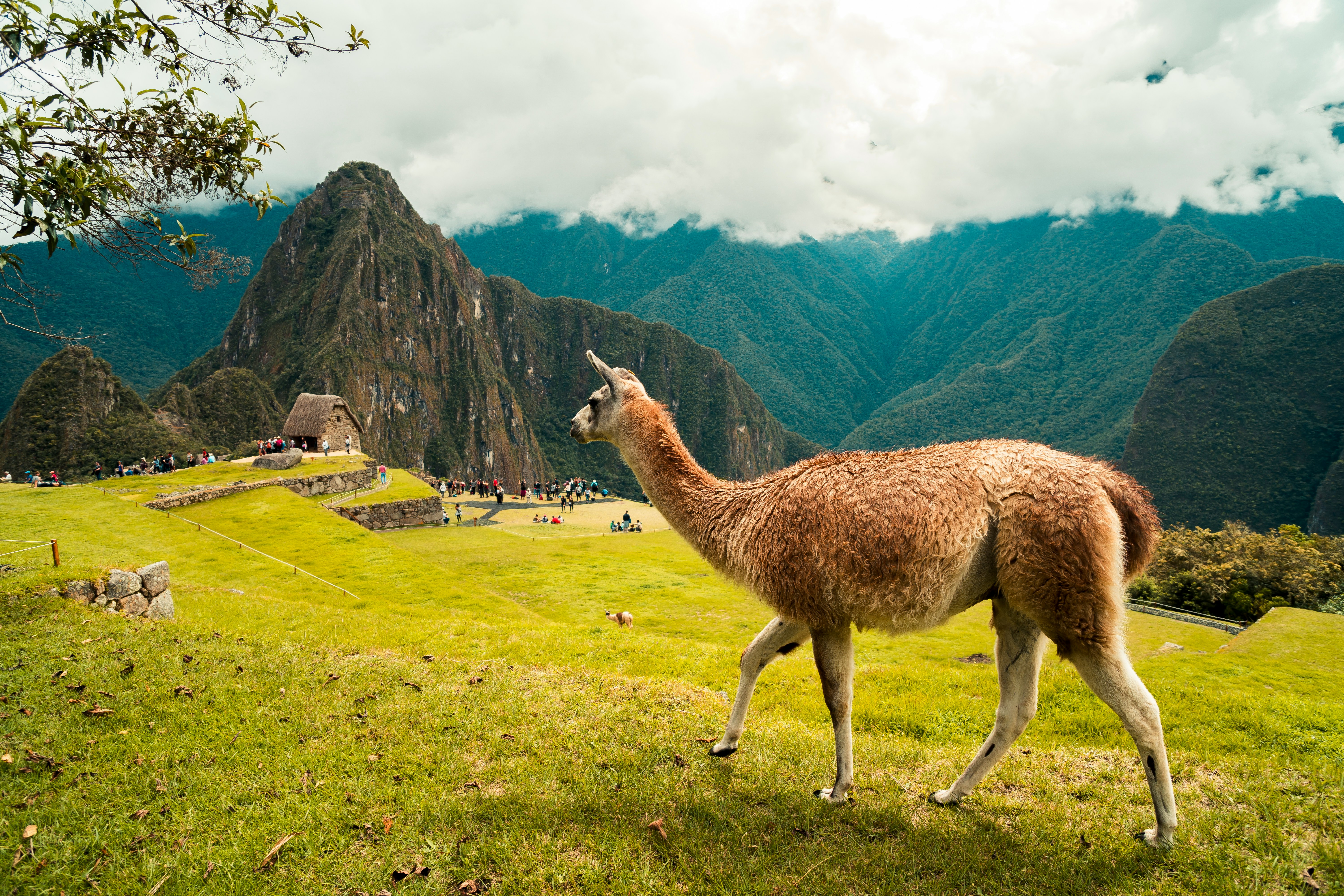 Ollantautambo - Train to Macho Picchu Citadel