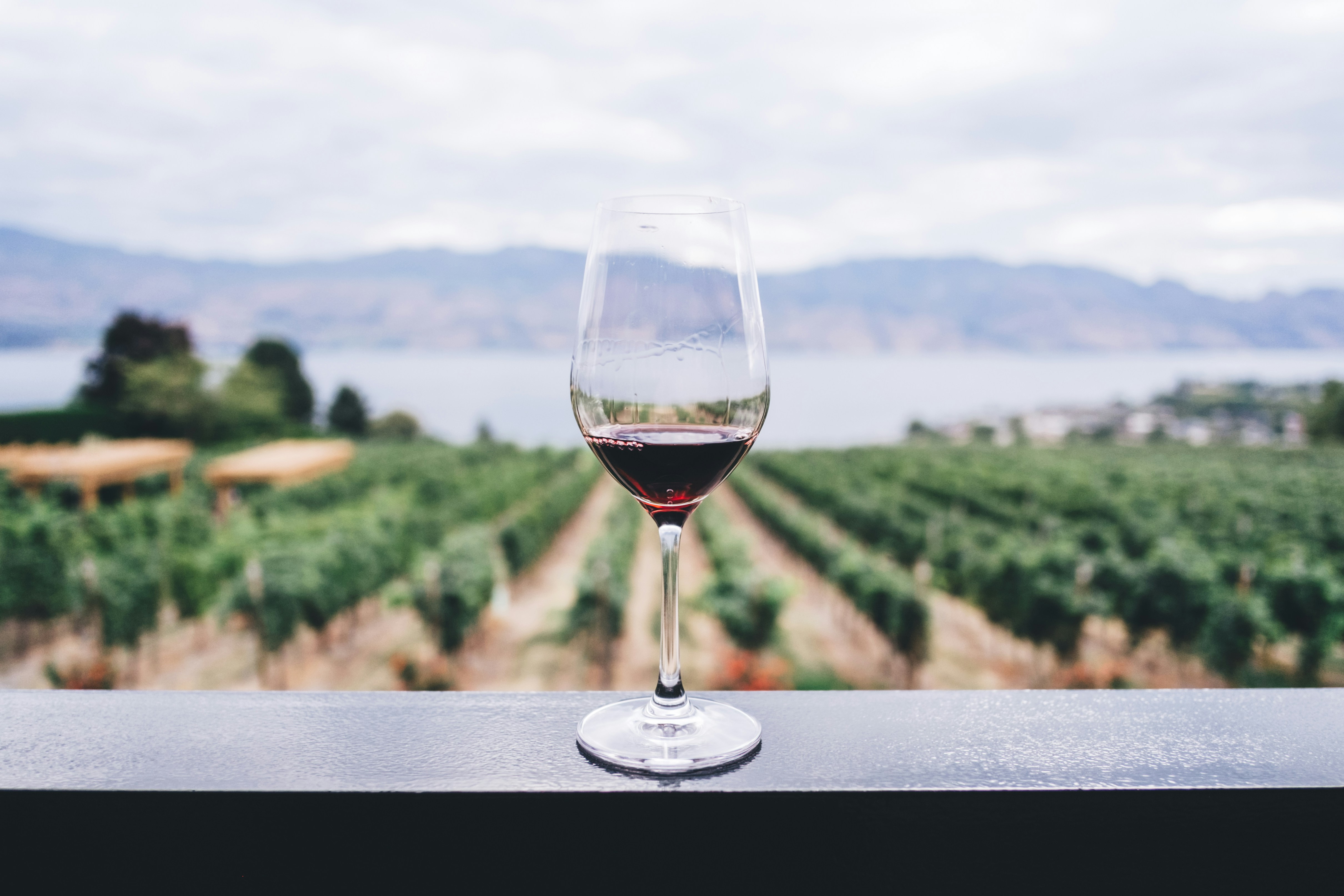 WINE TOUR IN THE STRUMA RIVER VALLEY