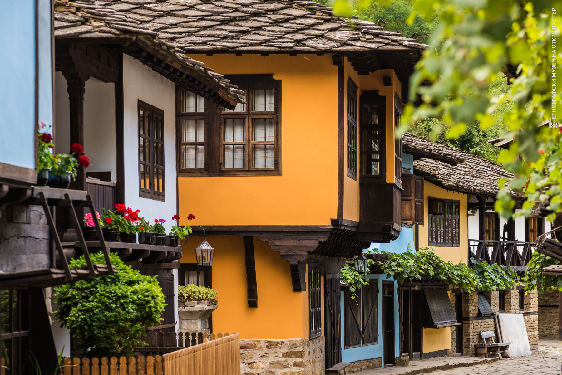 CULTURAL TOUR IN BULGARIA 